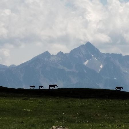 Hotel Cielo Blu Passo del Tonale Ngoại thất bức ảnh
