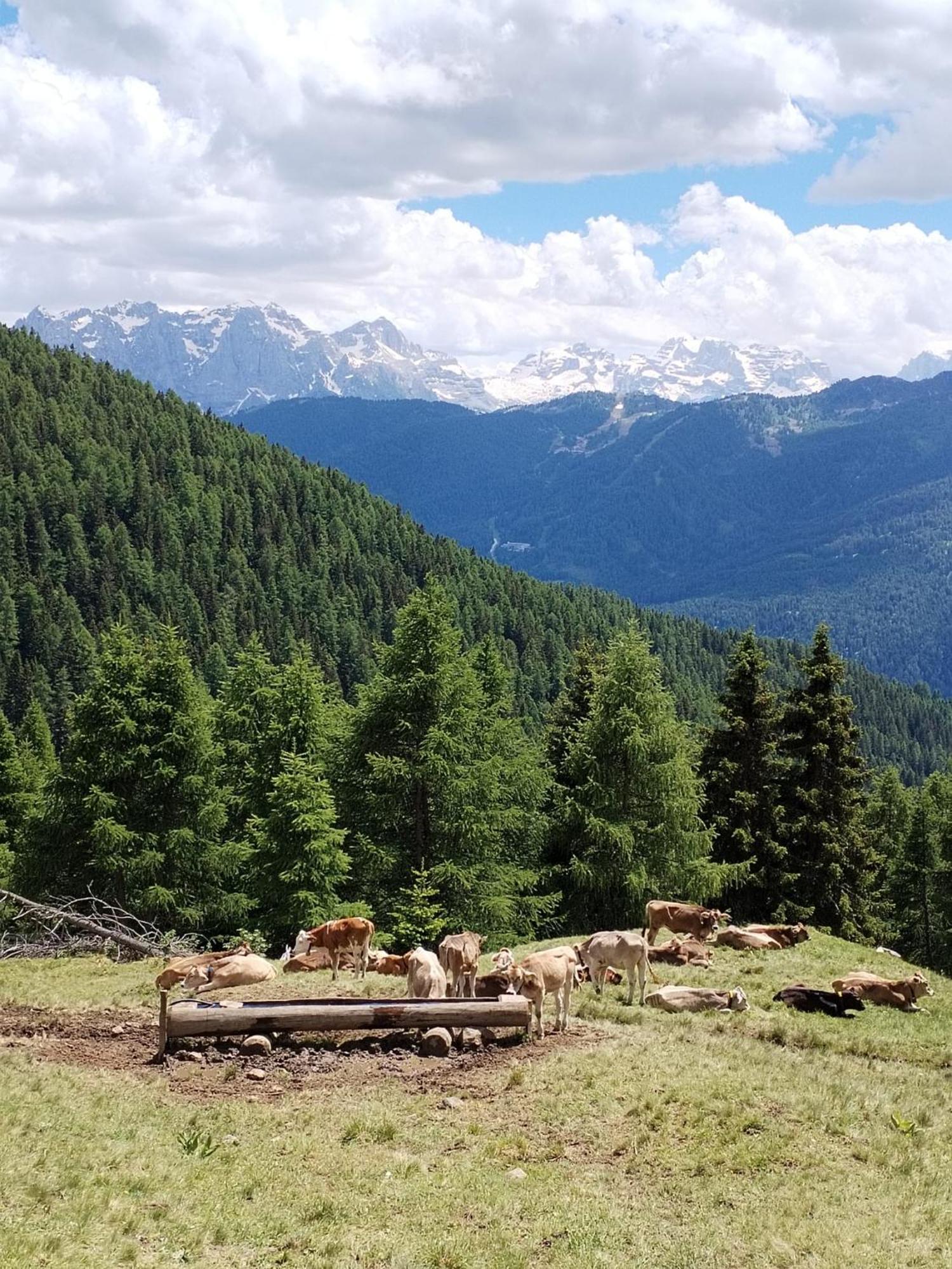 Hotel Cielo Blu Passo del Tonale Ngoại thất bức ảnh