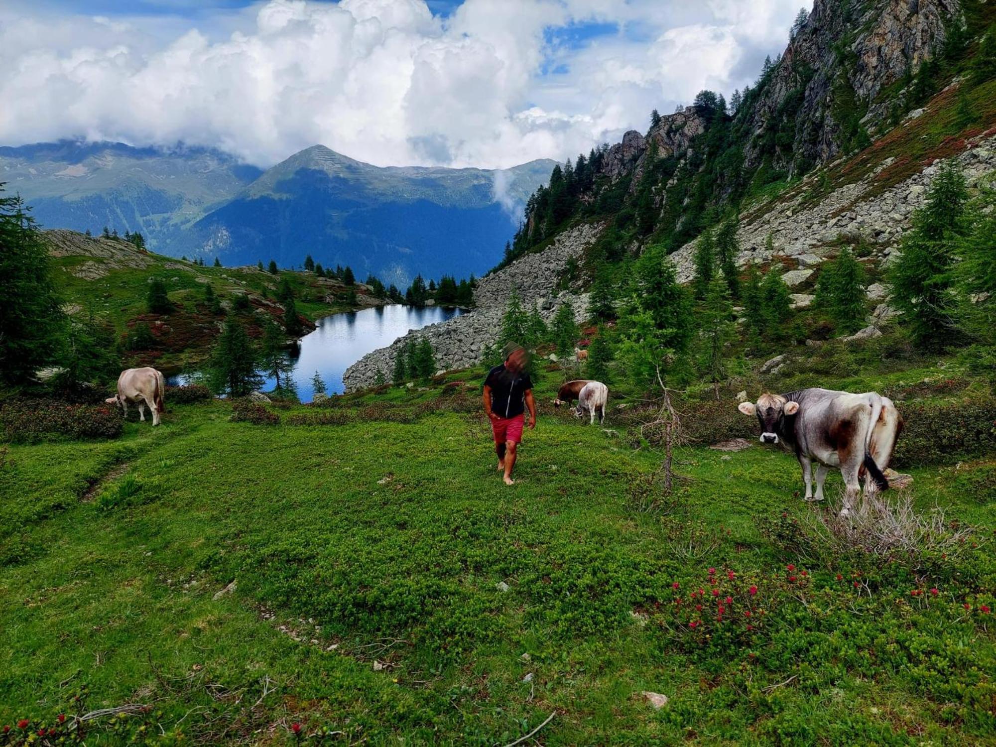 Hotel Cielo Blu Passo del Tonale Ngoại thất bức ảnh