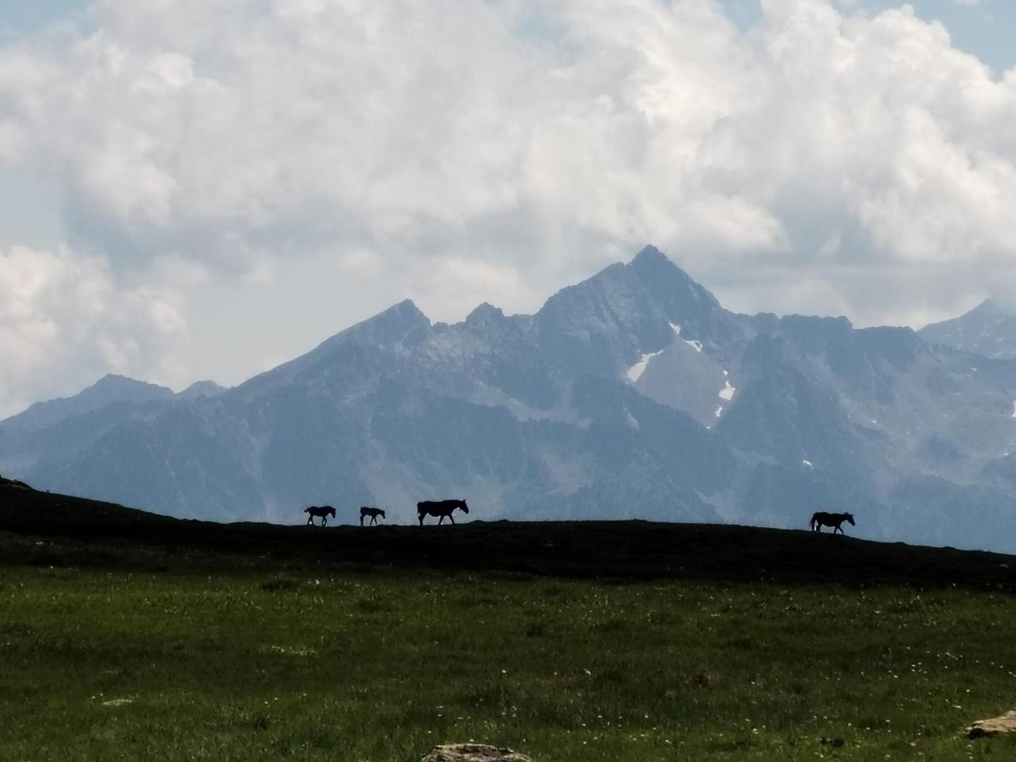 Hotel Cielo Blu Passo del Tonale Ngoại thất bức ảnh